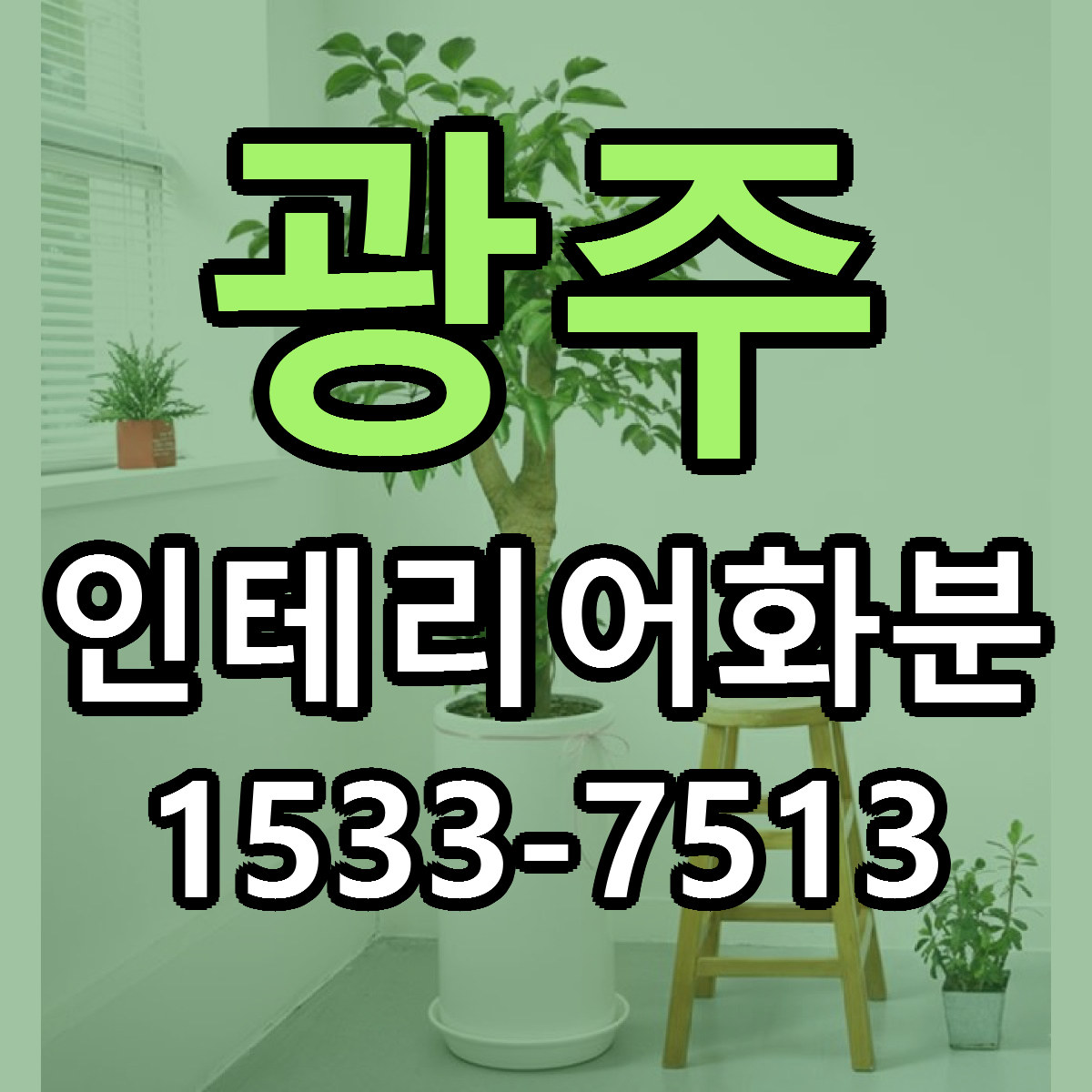 광주 인테리어화분 싼곳 빠른배송 리본문구 무료