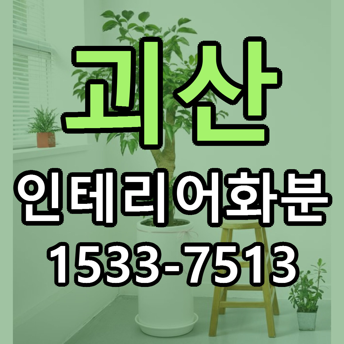 괴산 인테리어화분 저렴한곳 당일배송 가격 만족