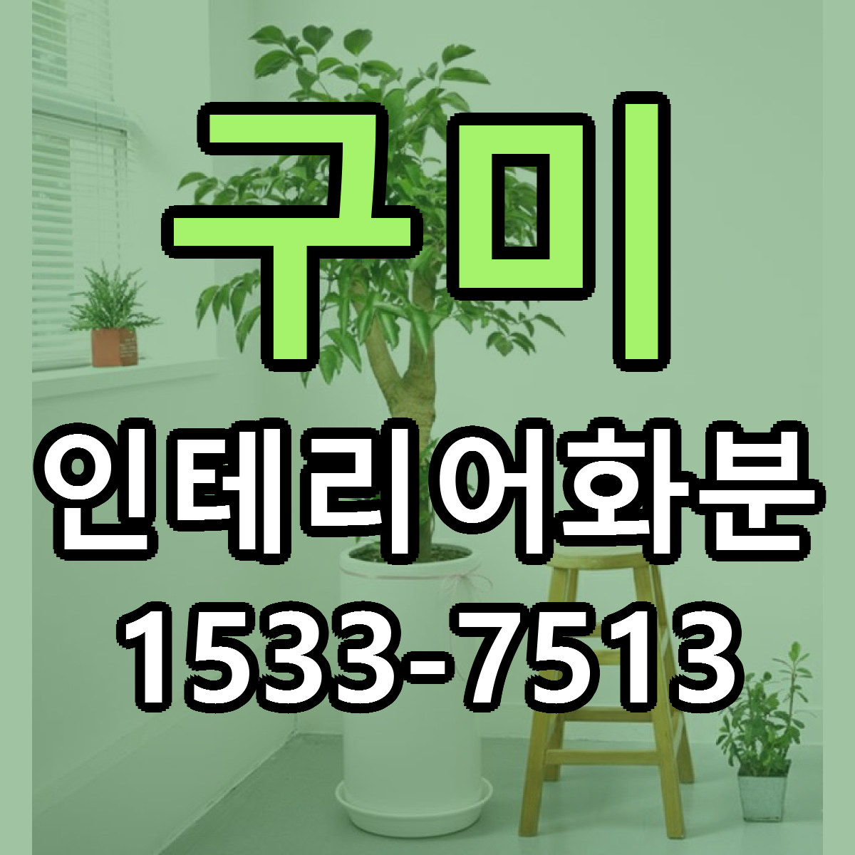 구미 인테리어화분 당일배송 리본문구 빠른배송 서비스