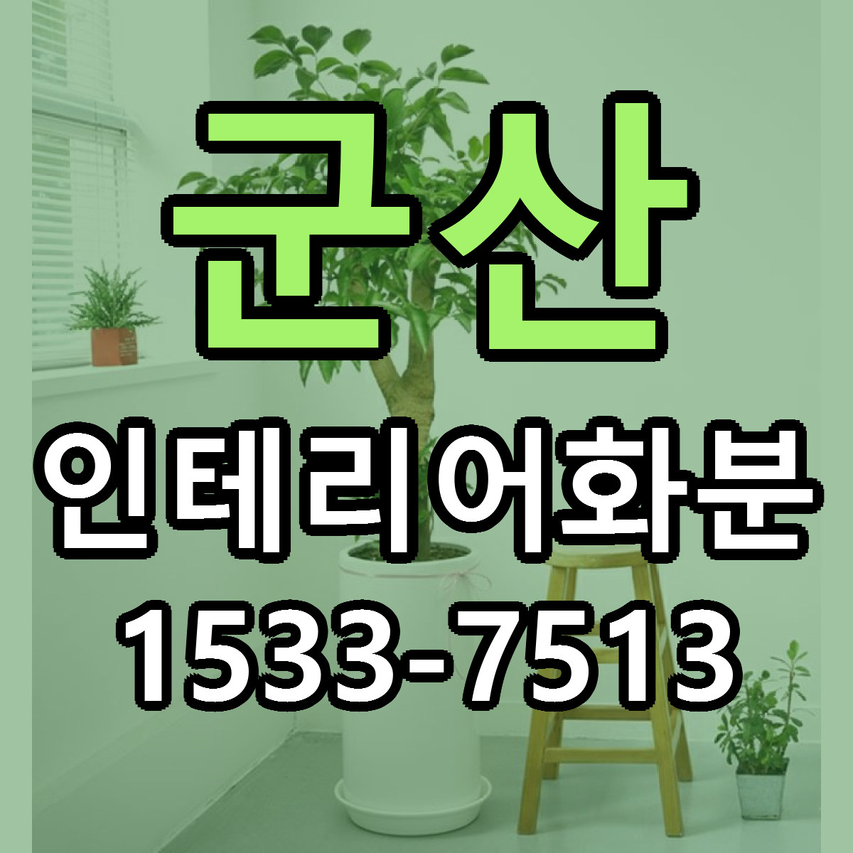군산 인테리어화분 가격 착한 싼곳 당일배송 안내