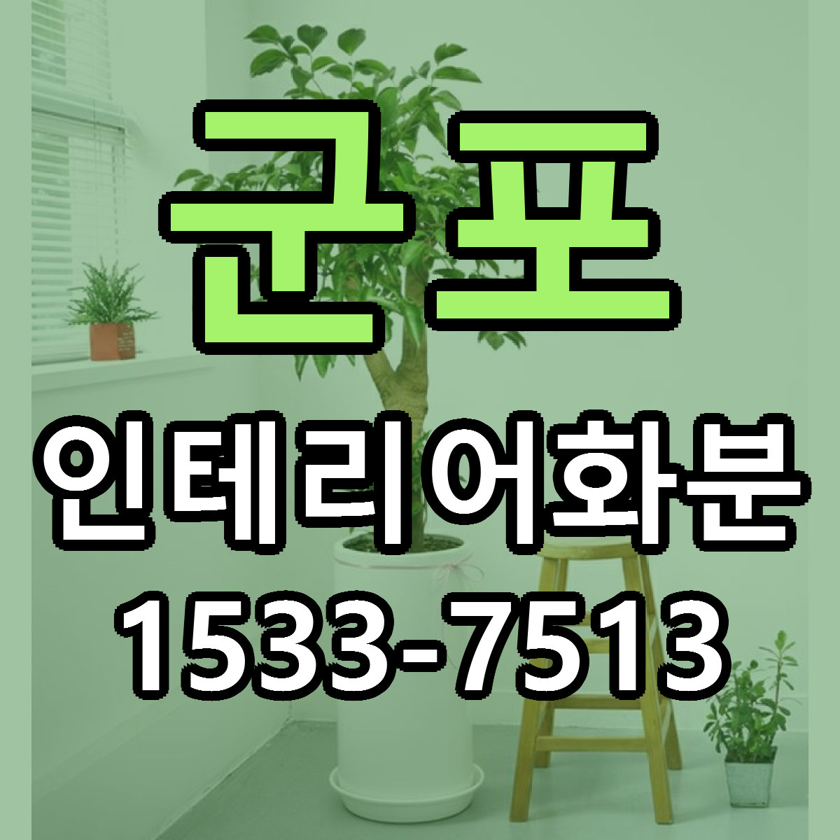 군포 인테리어화분 저렴한곳 당일배송 근처꽃집 추천