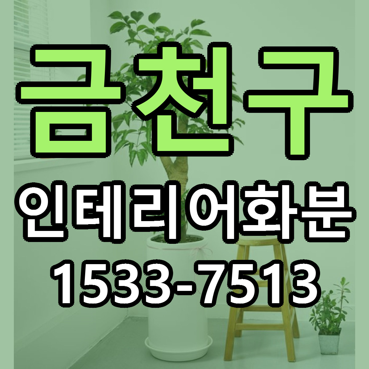 금천구 인테리어화분 당일배송 가격 저렴한곳 추천