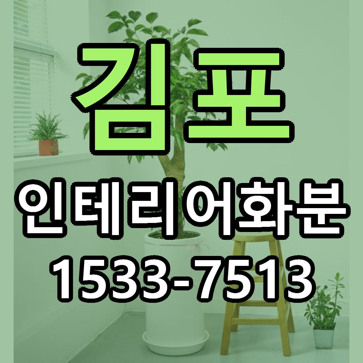 김포 인테리어화분 근처꽃집 당일배송 리본문구 서비스