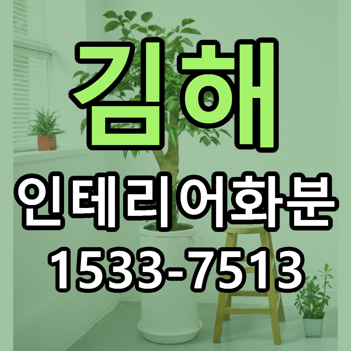 김해 인테리어화분 당일배송 싼곳 리본문구 안내
