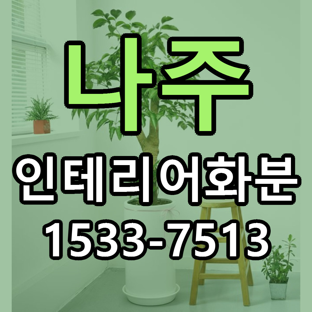 나주 인테리어화분 당일배송 근처꽃집 싼곳 비교