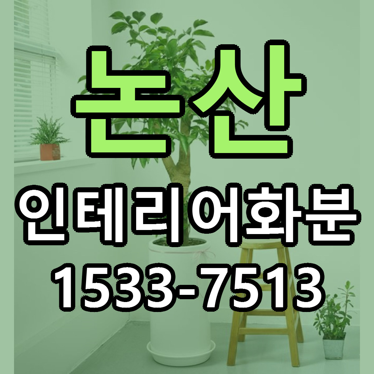 논산 인테리어화분 저렴한곳 당일배송 가격 만족