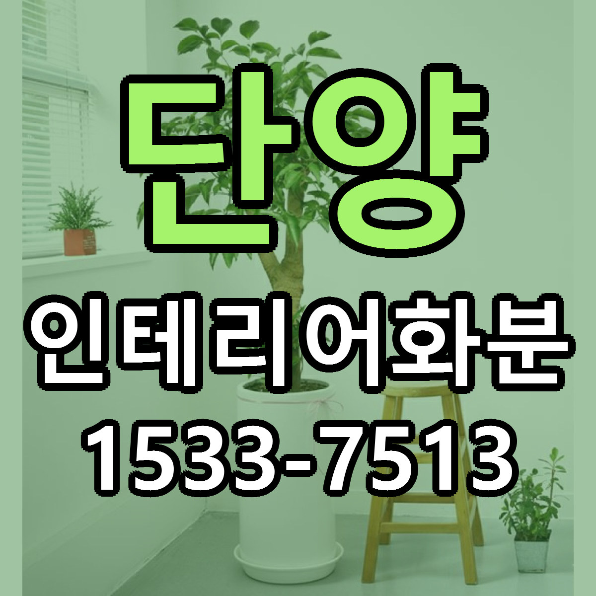 단양 인테리어화분 빠른배송 싼곳 가격 문의