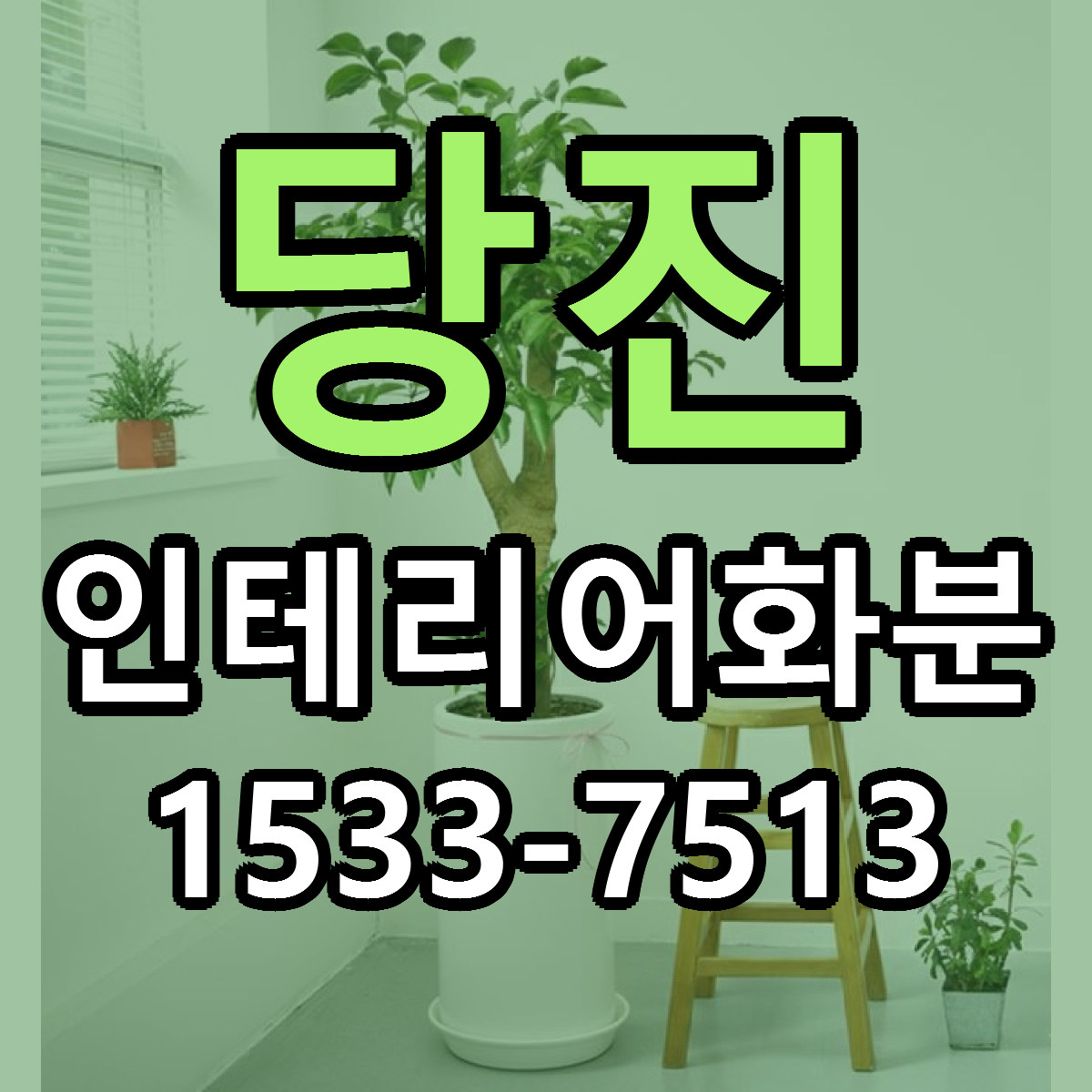 당진 인테리어화분 빠른배송 가격 저렴한곳 찾기