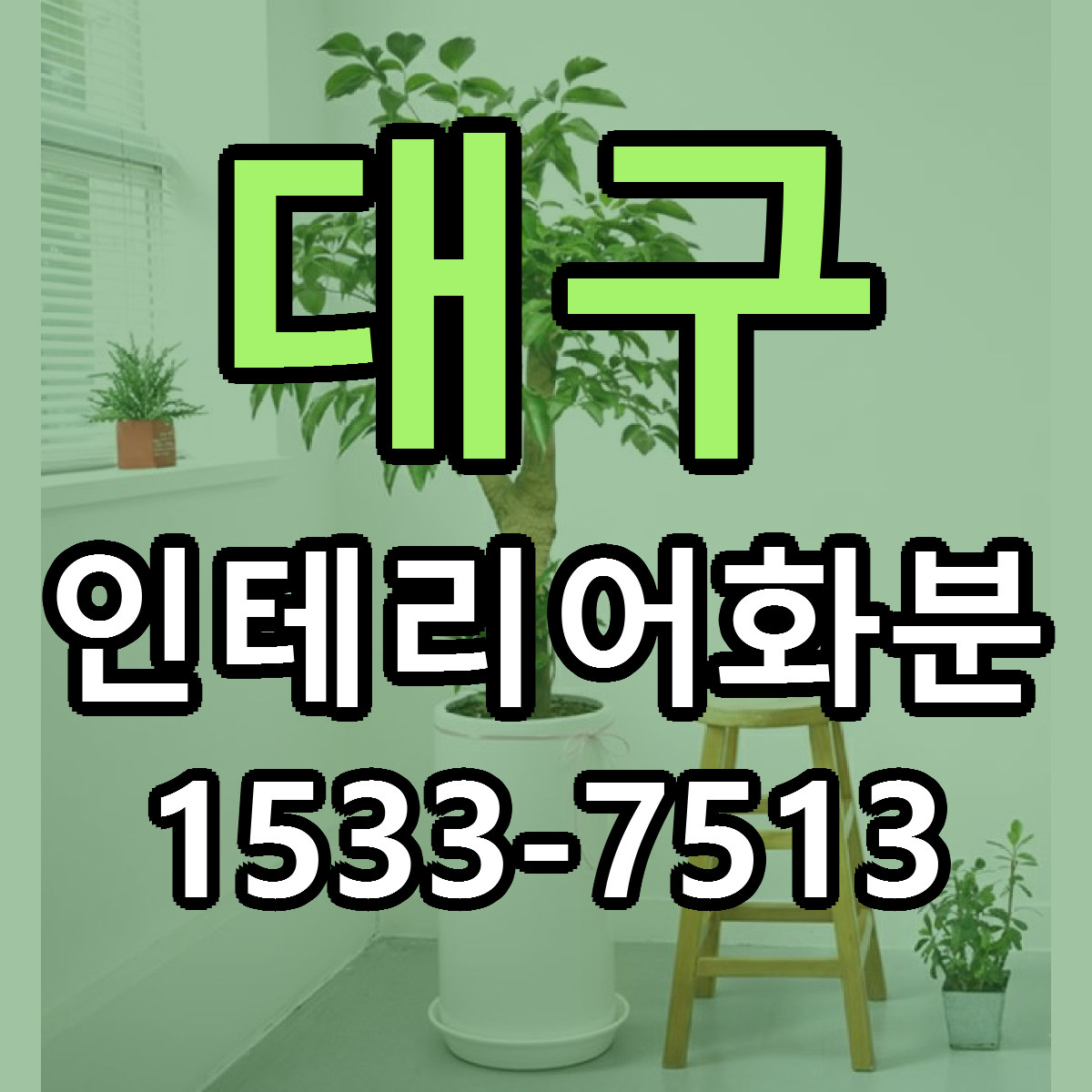 대구 인테리어화분 근처꽃집 당일배송 싼곳 추천