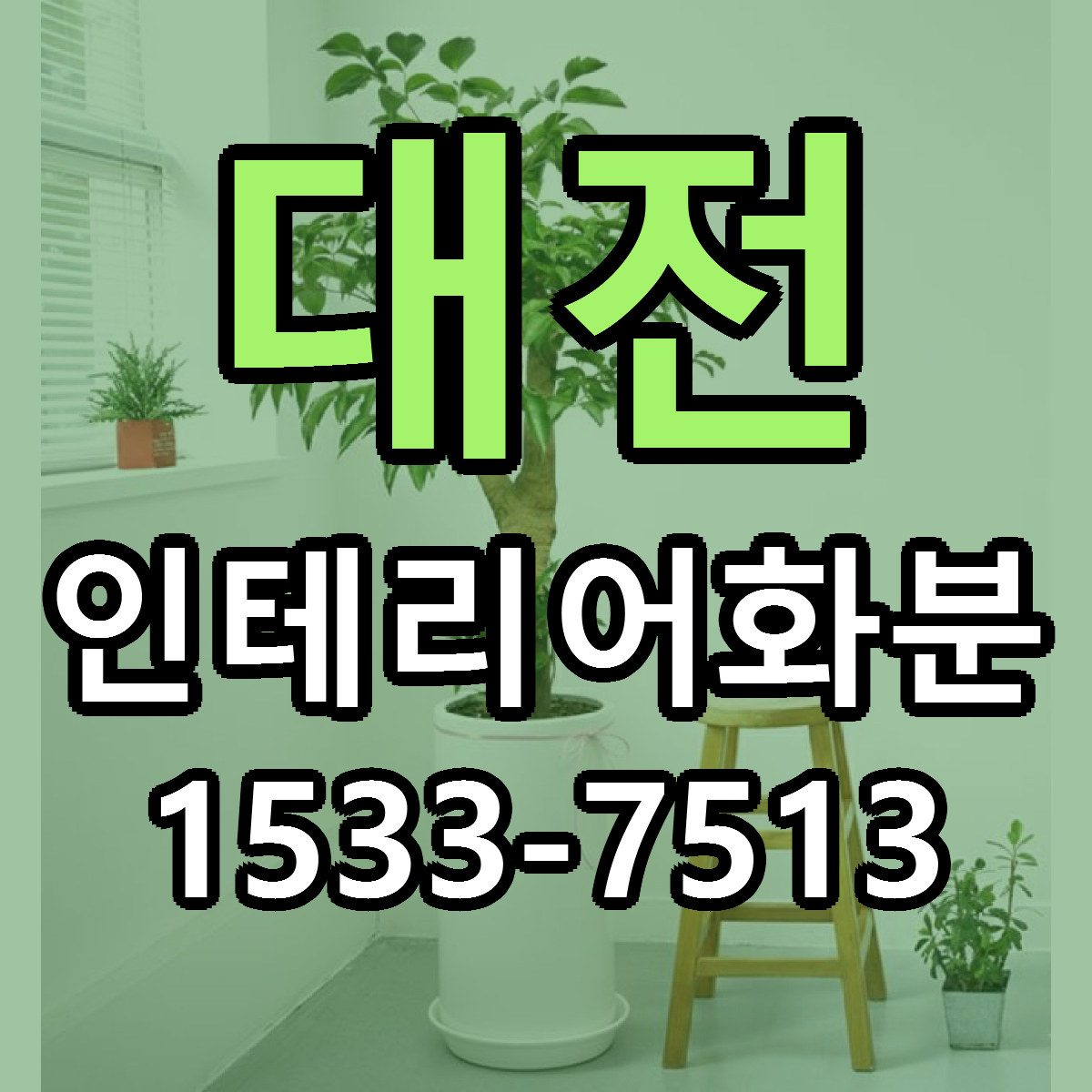 대전 인테리어화분 가격 착한 싼곳 당일배송 안내