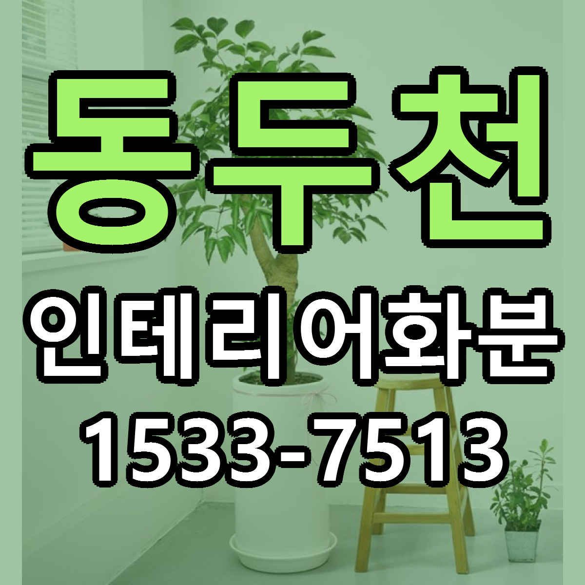 동두천 인테리어화분 근처꽃집 가격 저렴한곳 안내