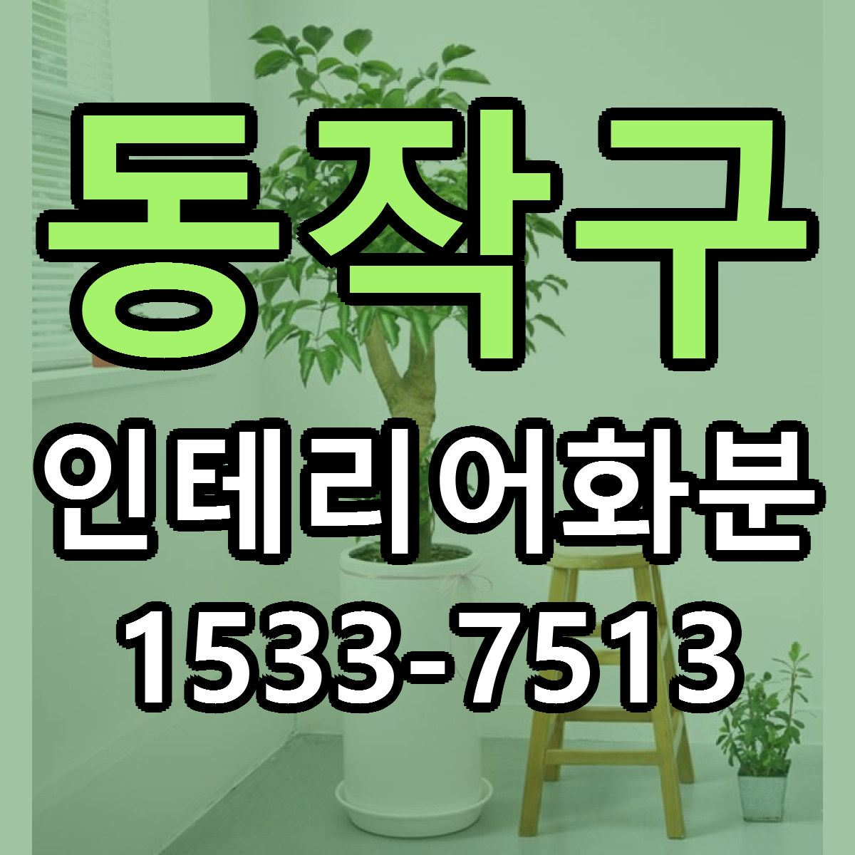 동작구 인테리어화분 가격 착한 싼곳 당일배송 안내