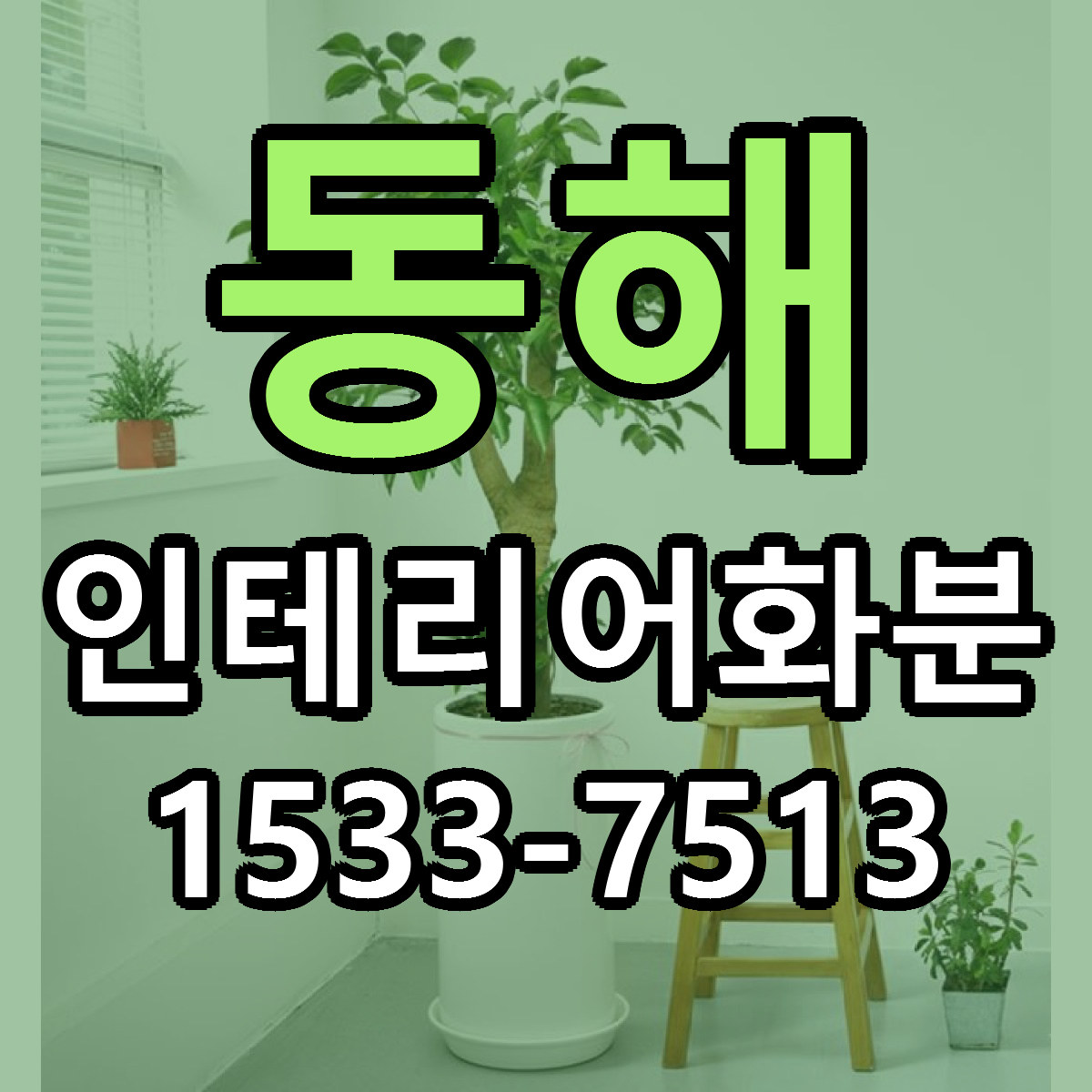 동해 인테리어화분 리본문구 근처꽃집 저렴한곳 예약