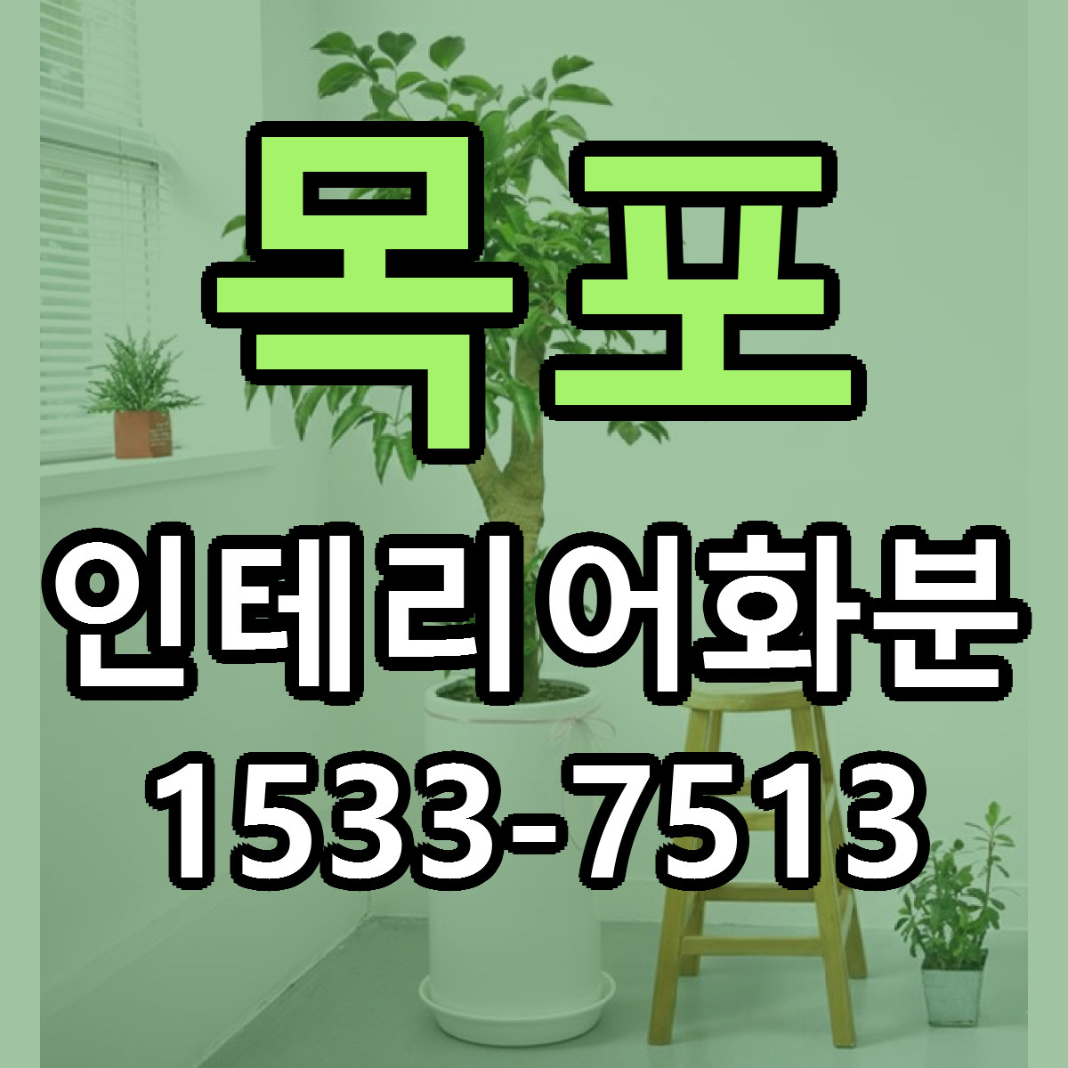 목포 인테리어화분 싼곳 빠른배송 리본문구 무료
