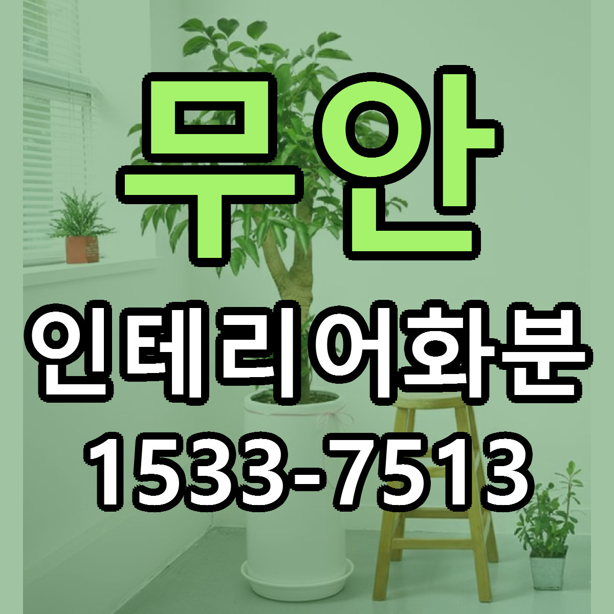 무안 인테리어화분 당일배송 싼곳 리본문구 안내