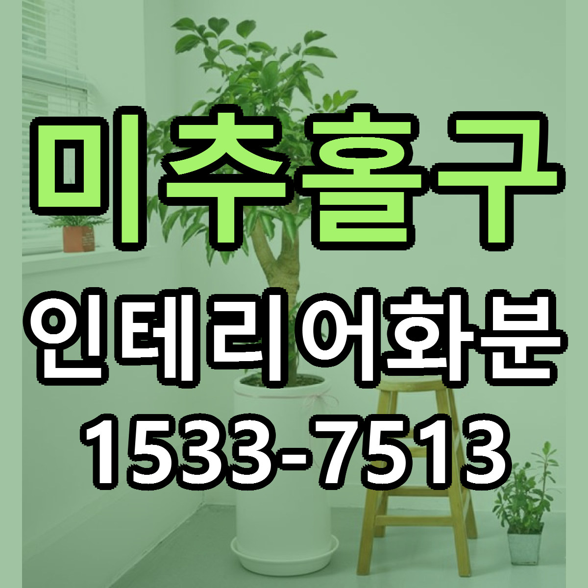미추홀구 인테리어화분 근처꽃집 당일배송 리본문구 서비스