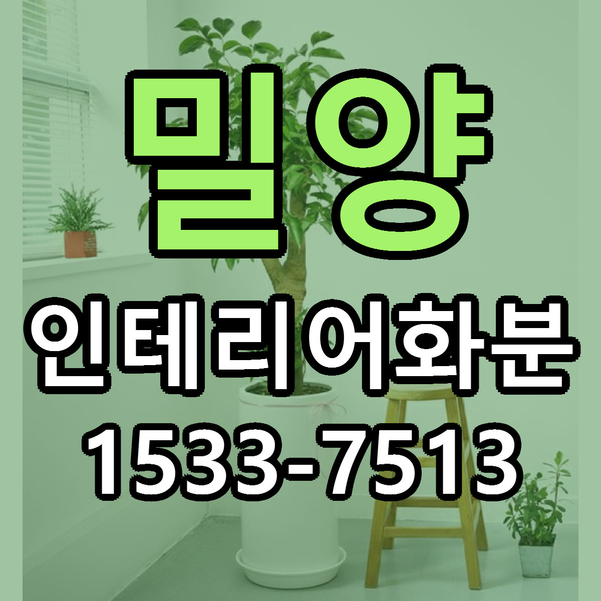 밀양 인테리어화분 싼곳 빠른배송 리본문구 무료