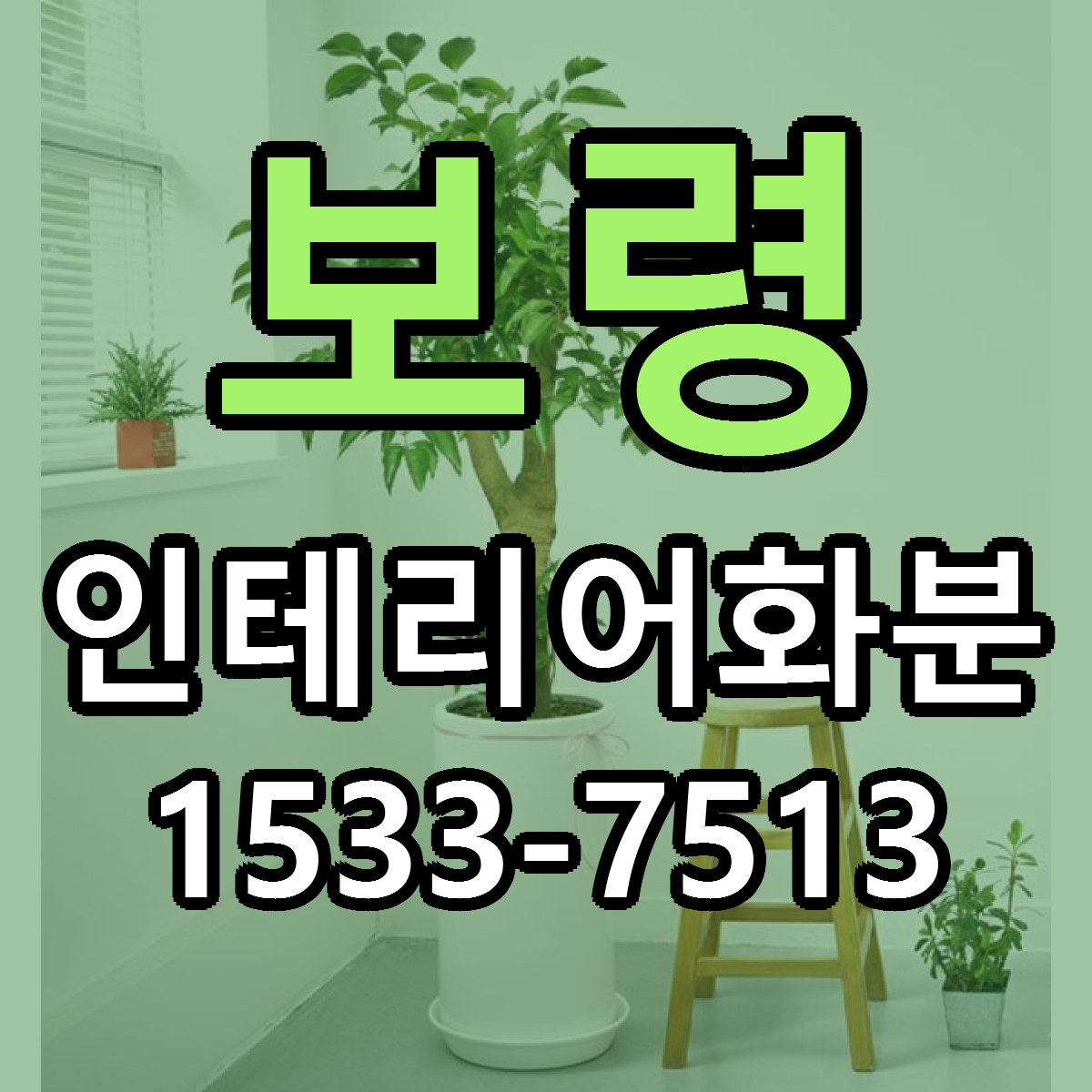 보령 인테리어화분 근처꽃집 저렴한곳 빠른배송 서비스