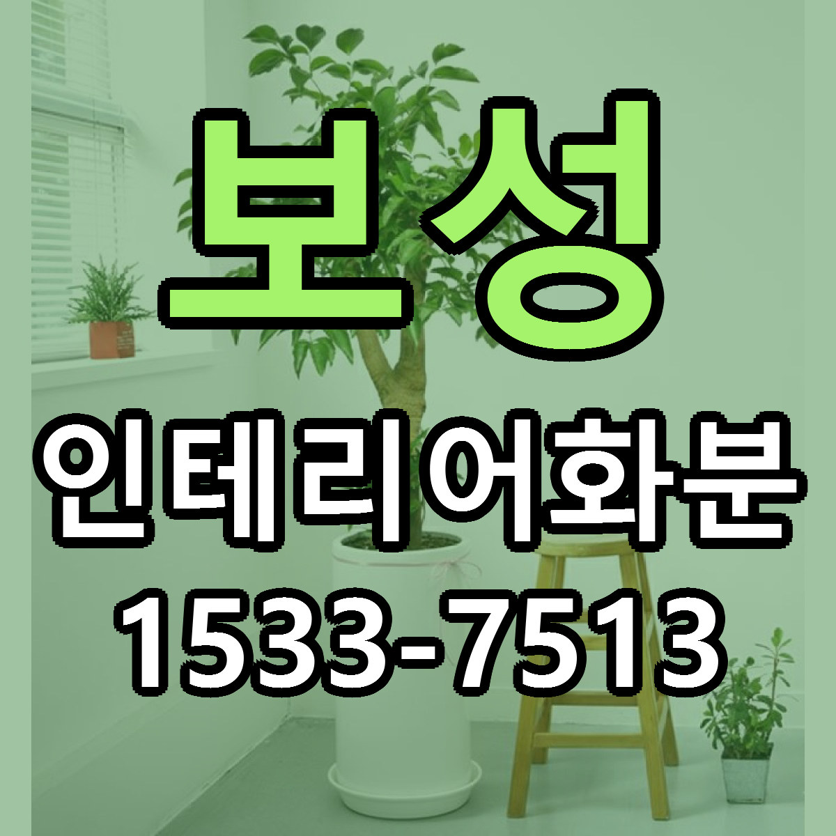 보성 인테리어화분 리본문구 싼곳 빠른배송 예약