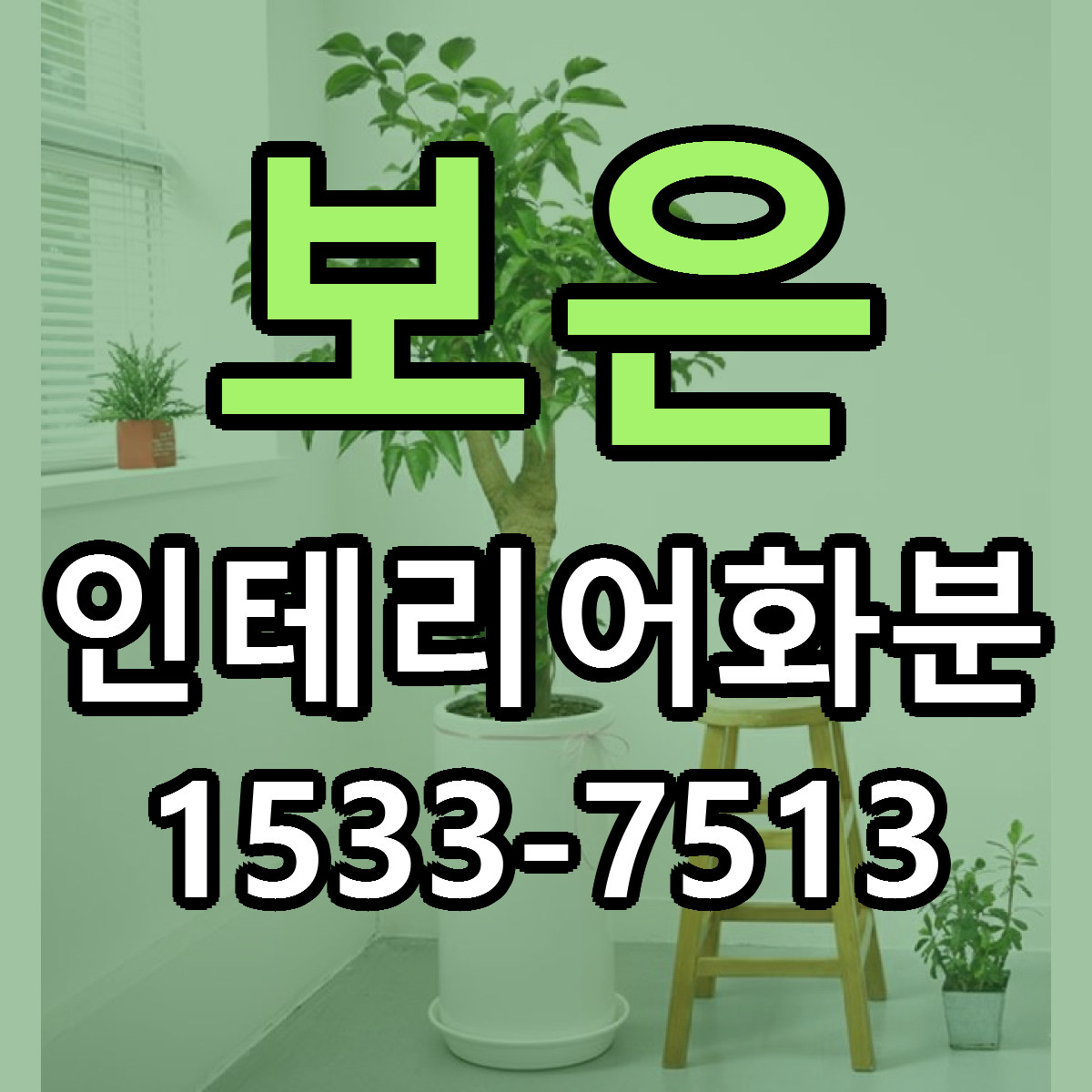 보은 인테리어화분 저렴한곳 당일배송 근처꽃집 추천