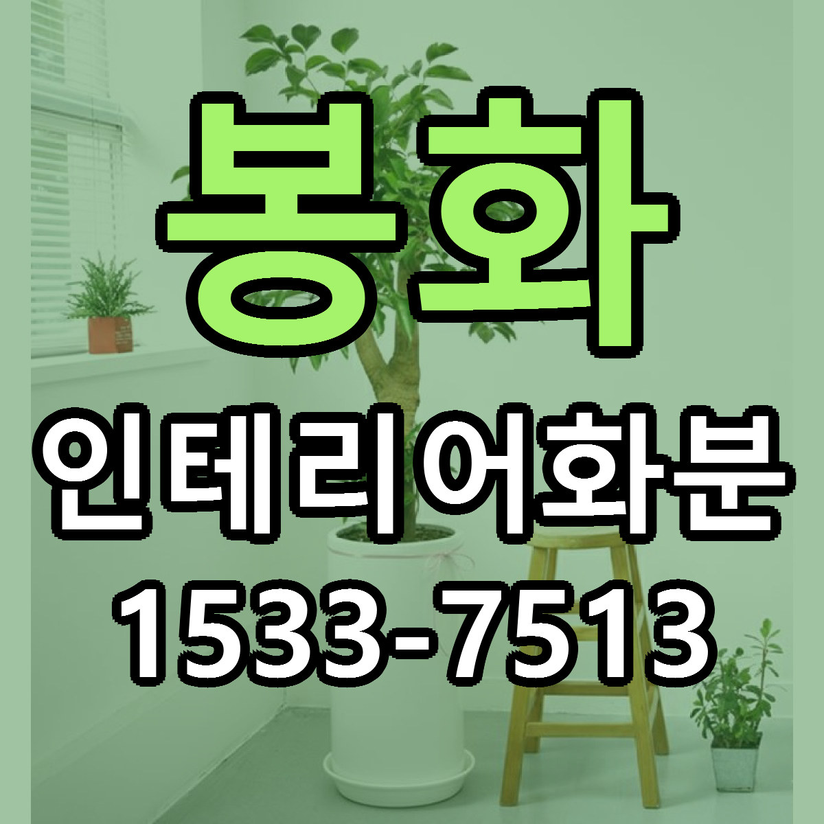 봉화 인테리어화분 빠른배송 리본문구 가격 알뜰 비교