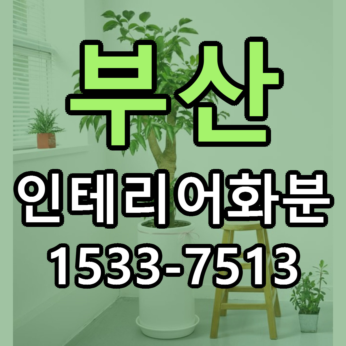 부산 인테리어화분 당일배송 저렴한곳 리본문구 추천