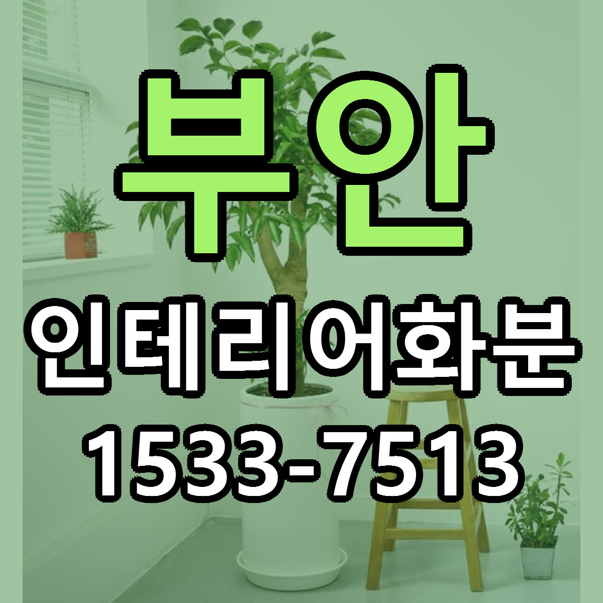 부안 인테리어화분 근처꽃집 당일배송 가격 안내