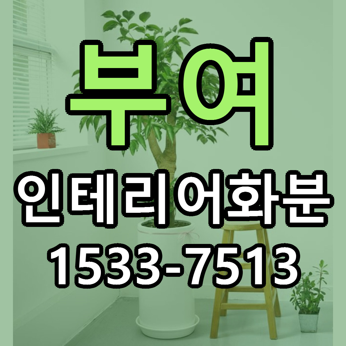 부여 인테리어화분 근처꽃집 당일배송 싼곳 추천