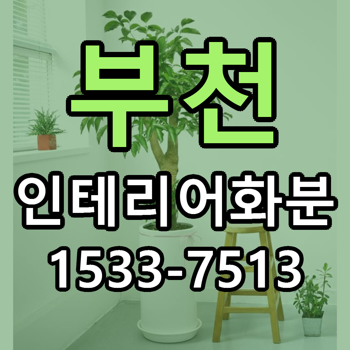 부천 인테리어화분 근처꽃집 당일배송 리본문구 서비스