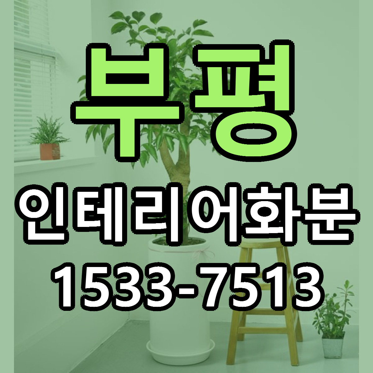 부평 인테리어화분 근처꽃집 싼곳 빠른배송 안내