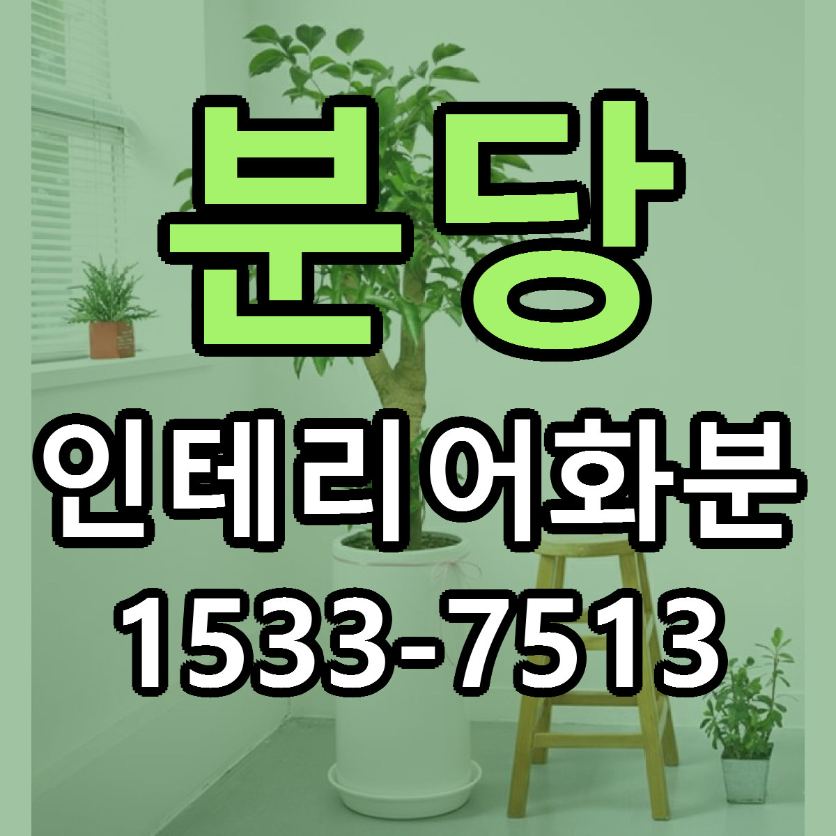 분당 인테리어화분 근처꽃집 저렴한곳 빠른배송 서비스