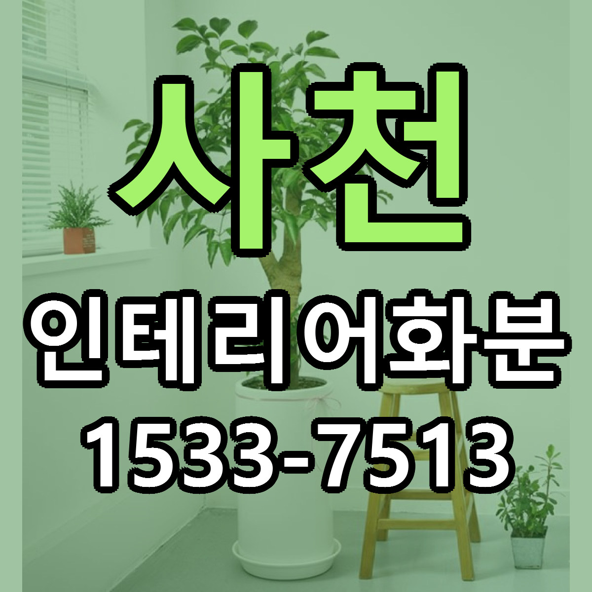 사천 인테리어화분 싼곳 당일배송 리본문구 작성