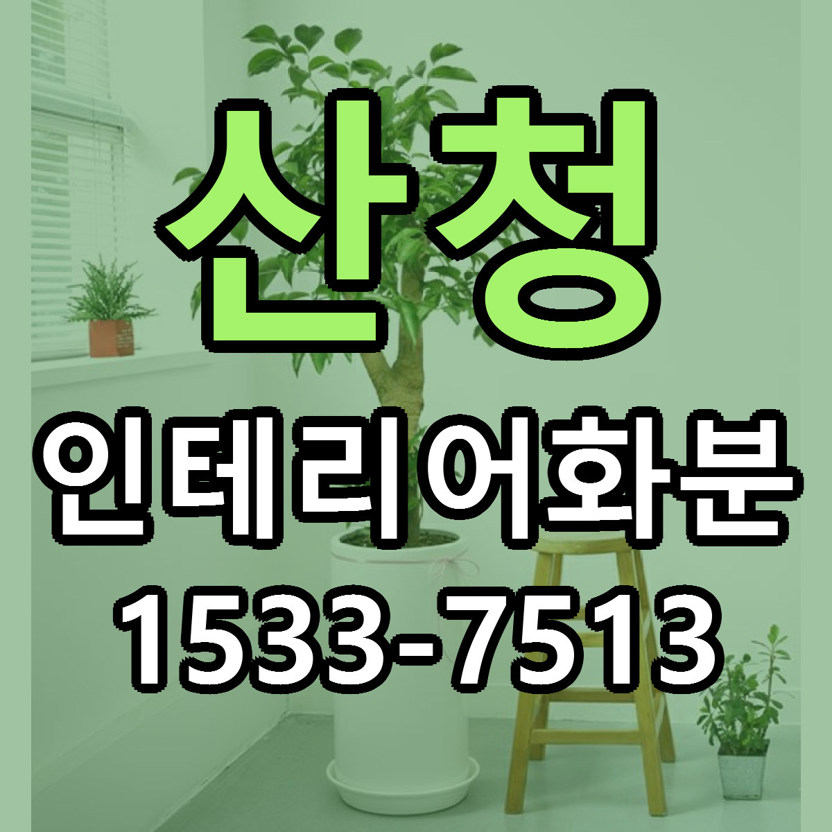 산청 인테리어화분 리본문구 싼곳 빠른배송 예약