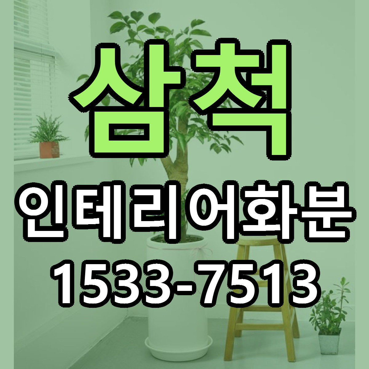 삼척 인테리어화분 근처꽃집 저렴한곳 빠른배송 서비스