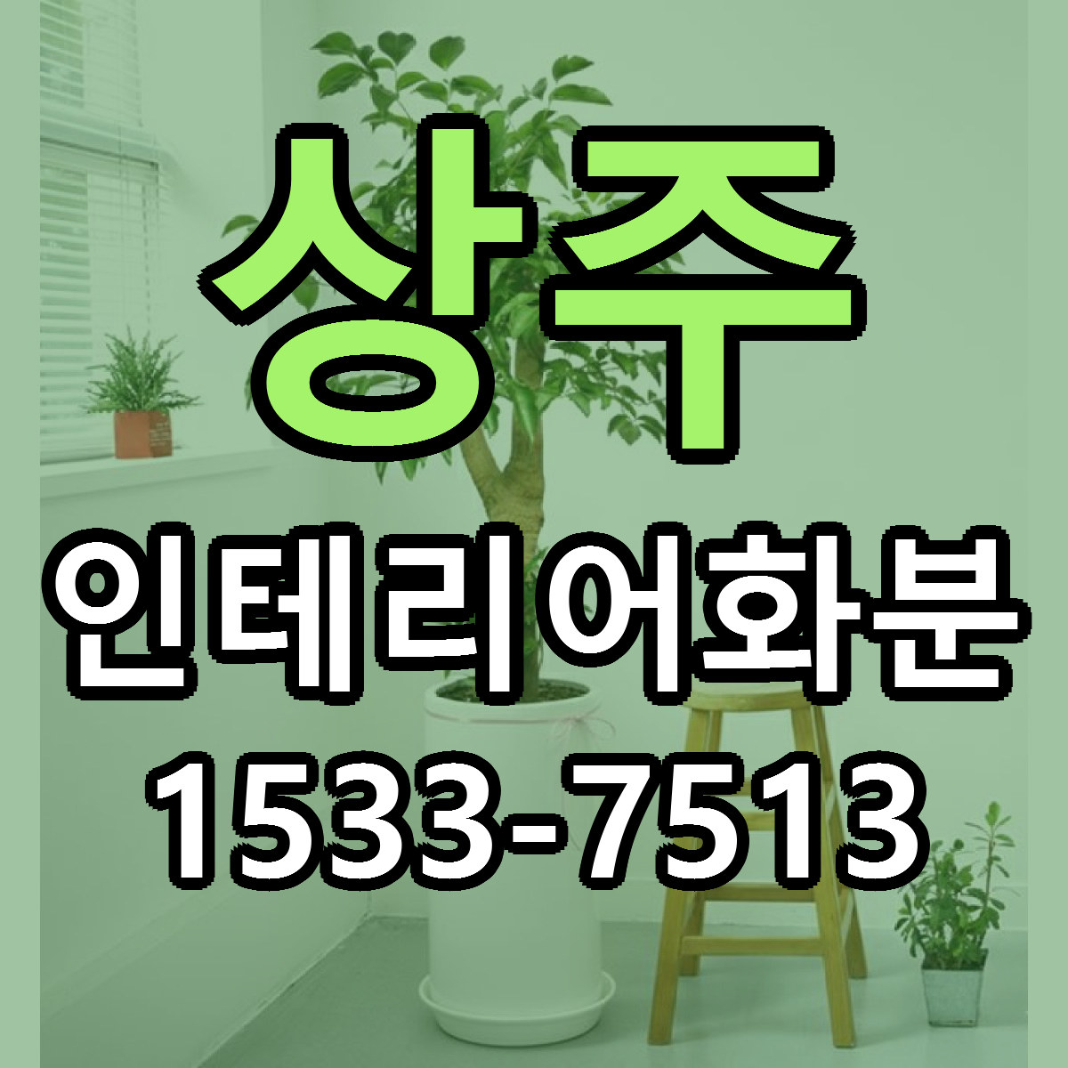 상주 인테리어화분 빠른배송 가격 저렴한곳 찾기