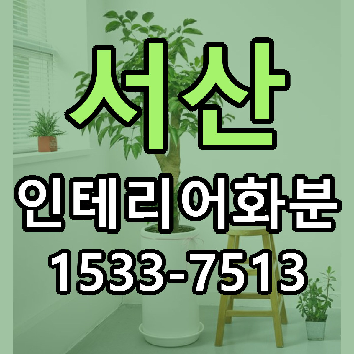서산 인테리어화분 당일배송 저렴한곳 리본문구 추천