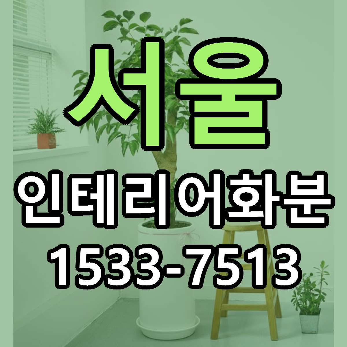 서울 인테리어화분 당일배송 가격 저렴한곳 추천