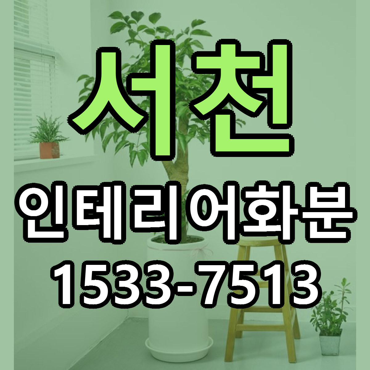 서천 인테리어화분 근처꽃집 당일배송 리본문구 서비스