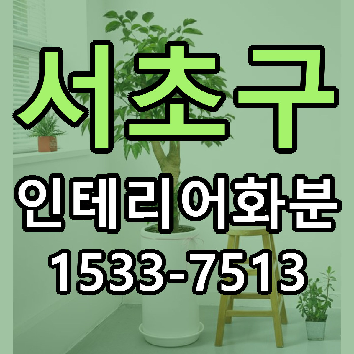 서초구 인테리어화분 당일배송 저렴한곳 리본문구 추천