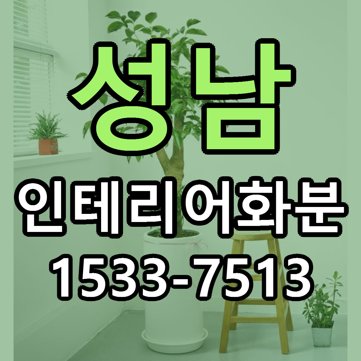 성남 인테리어화분 빠른배송 싼곳 가격 문의
