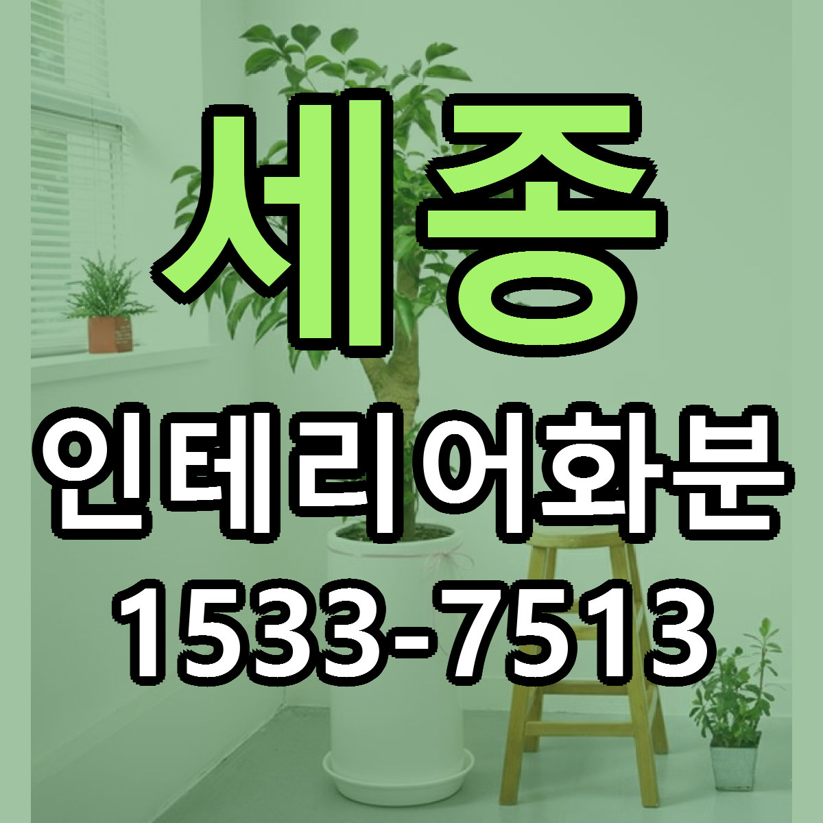 세종 인테리어화분 빠른배송 리본문구 가격 알뜰 비교