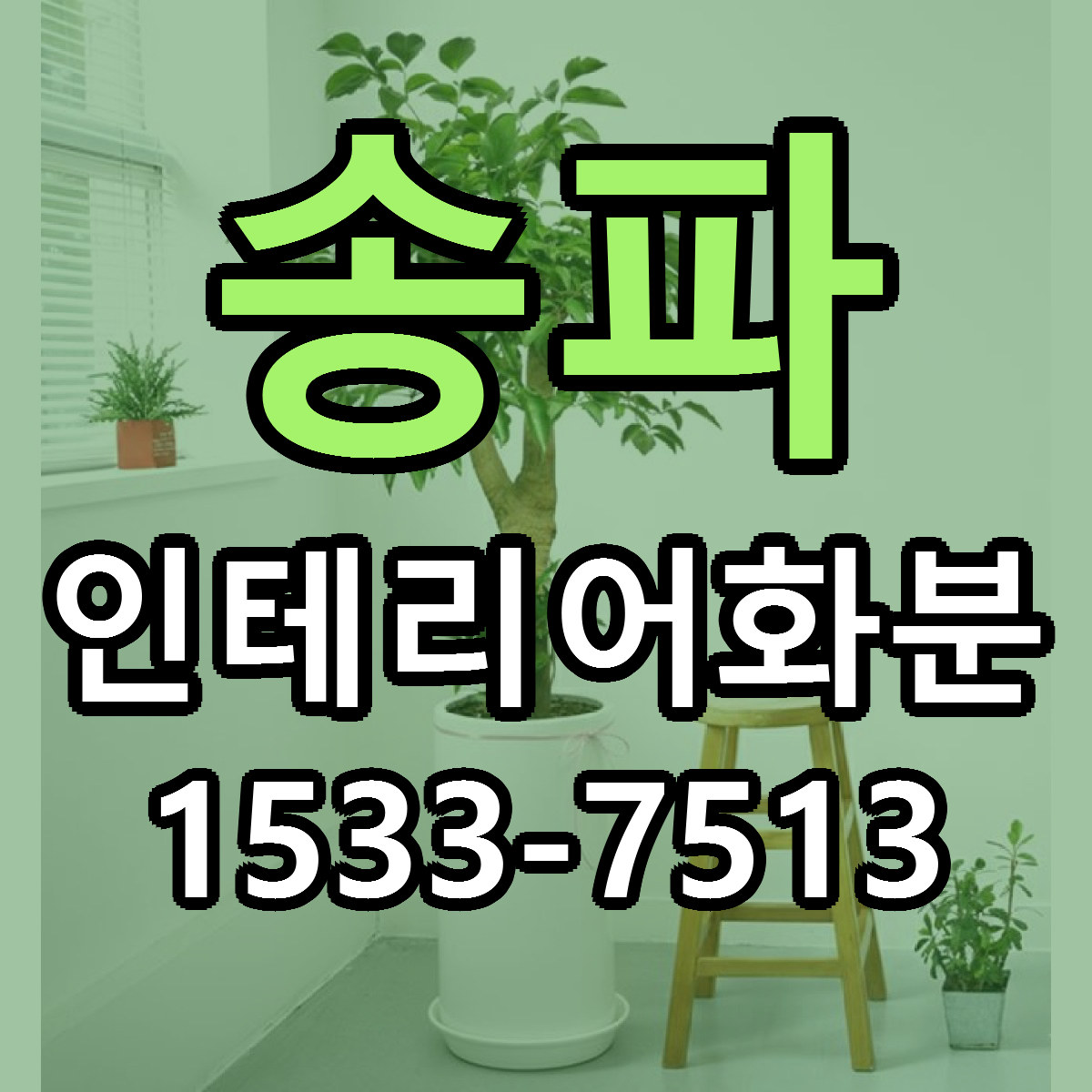 송파 인테리어화분 리본문구 근처꽃집 저렴한곳 예약