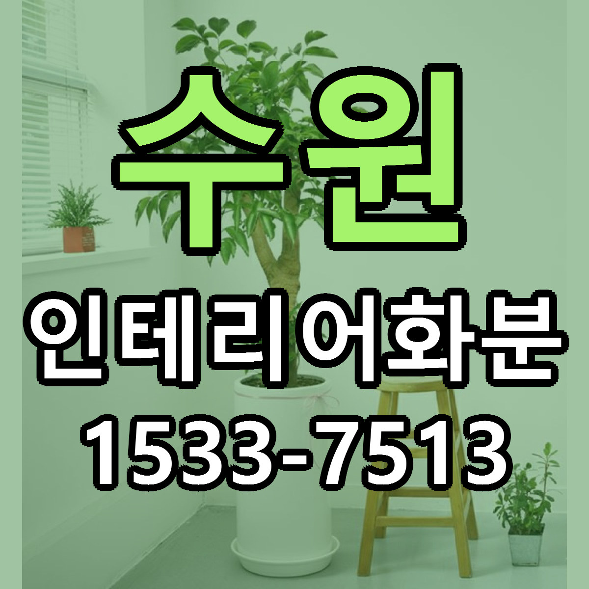 수원 인테리어화분 당일배송 싼곳 리본문구 안내