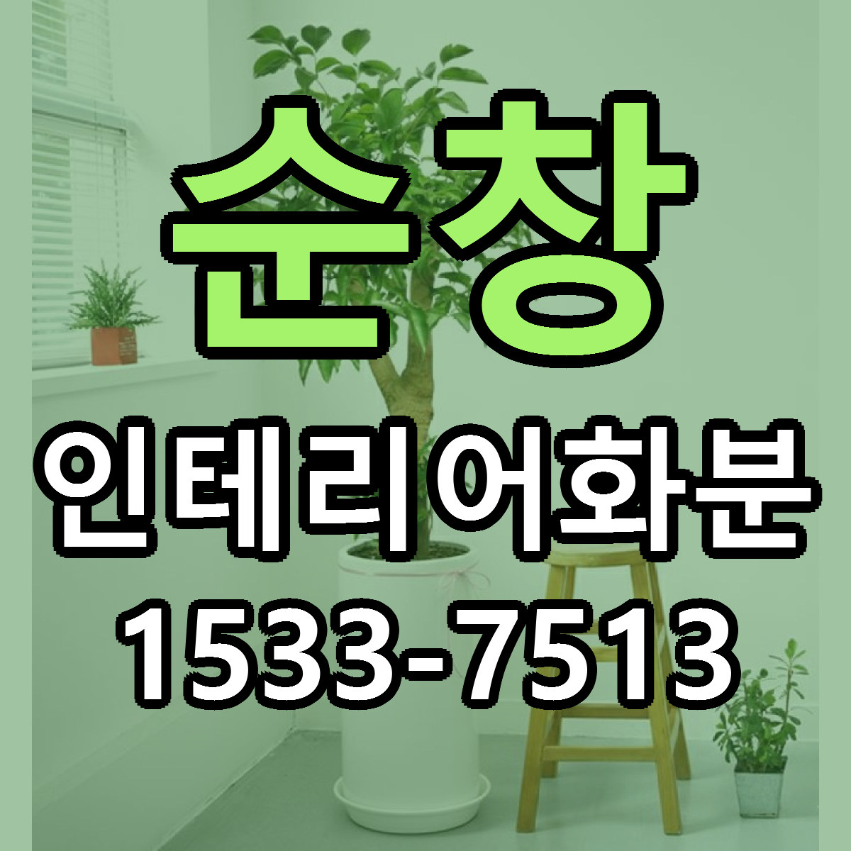 순창 인테리어화분 빠른배송 가격 저렴한곳 찾기