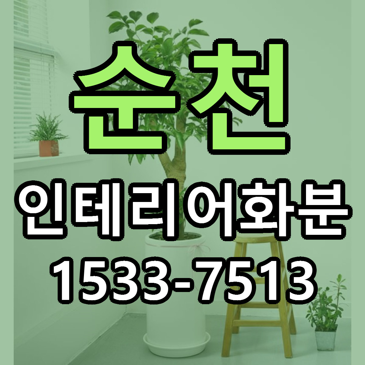 순천 인테리어화분 근처꽃집 당일배송 가격 안내