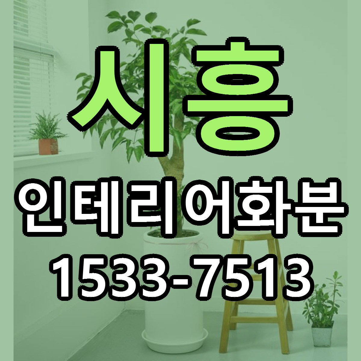 시흥 인테리어화분 리본문구 서비스 저렴한곳 빠른배송