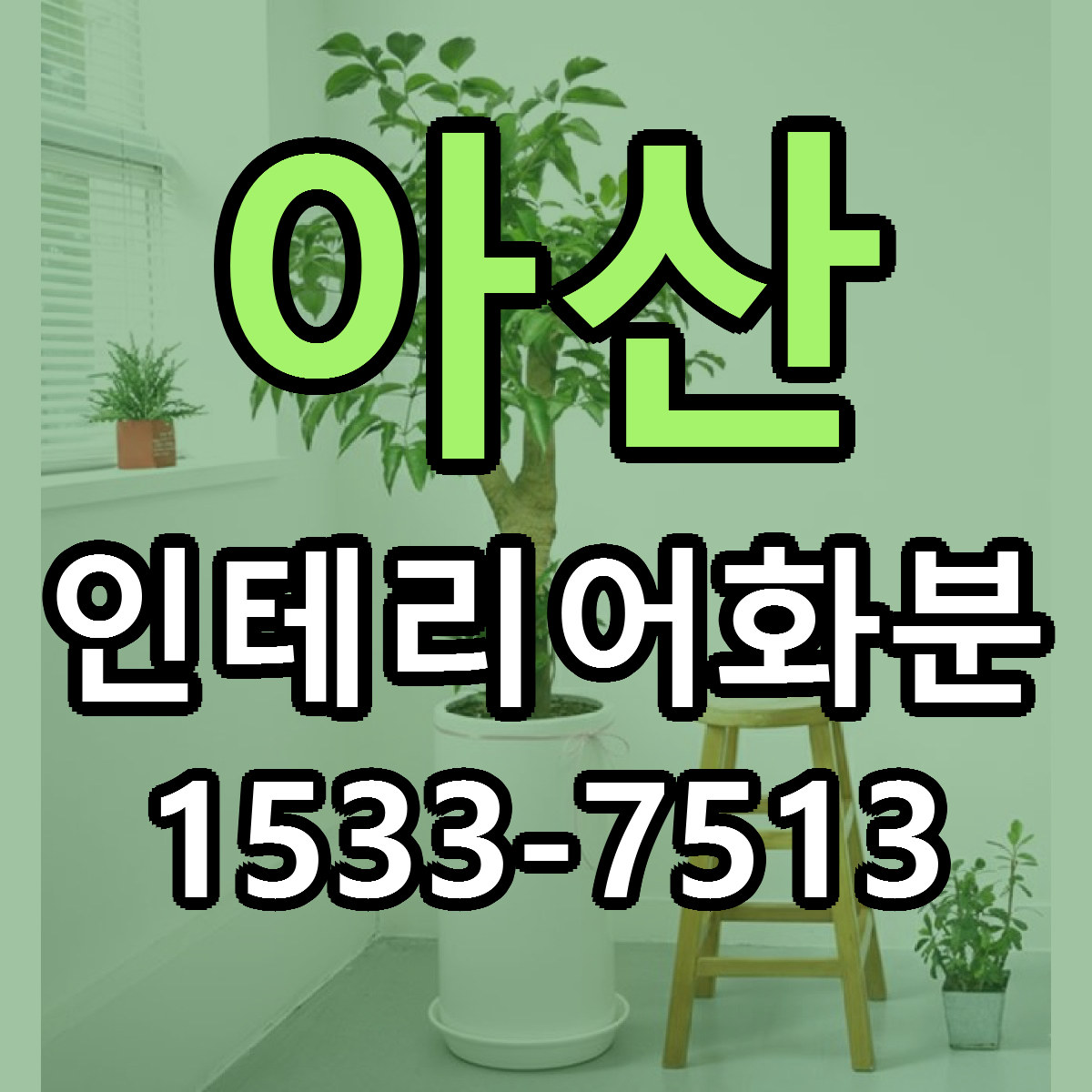 아산 인테리어화분 저렴한곳 당일배송 가격 만족