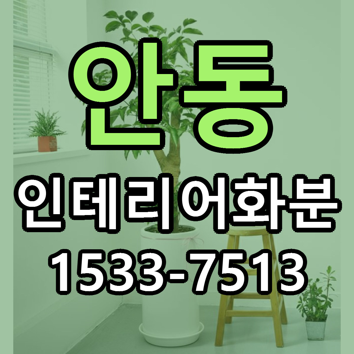 안동 인테리어화분 리본문구 싼곳 빠른배송 예약