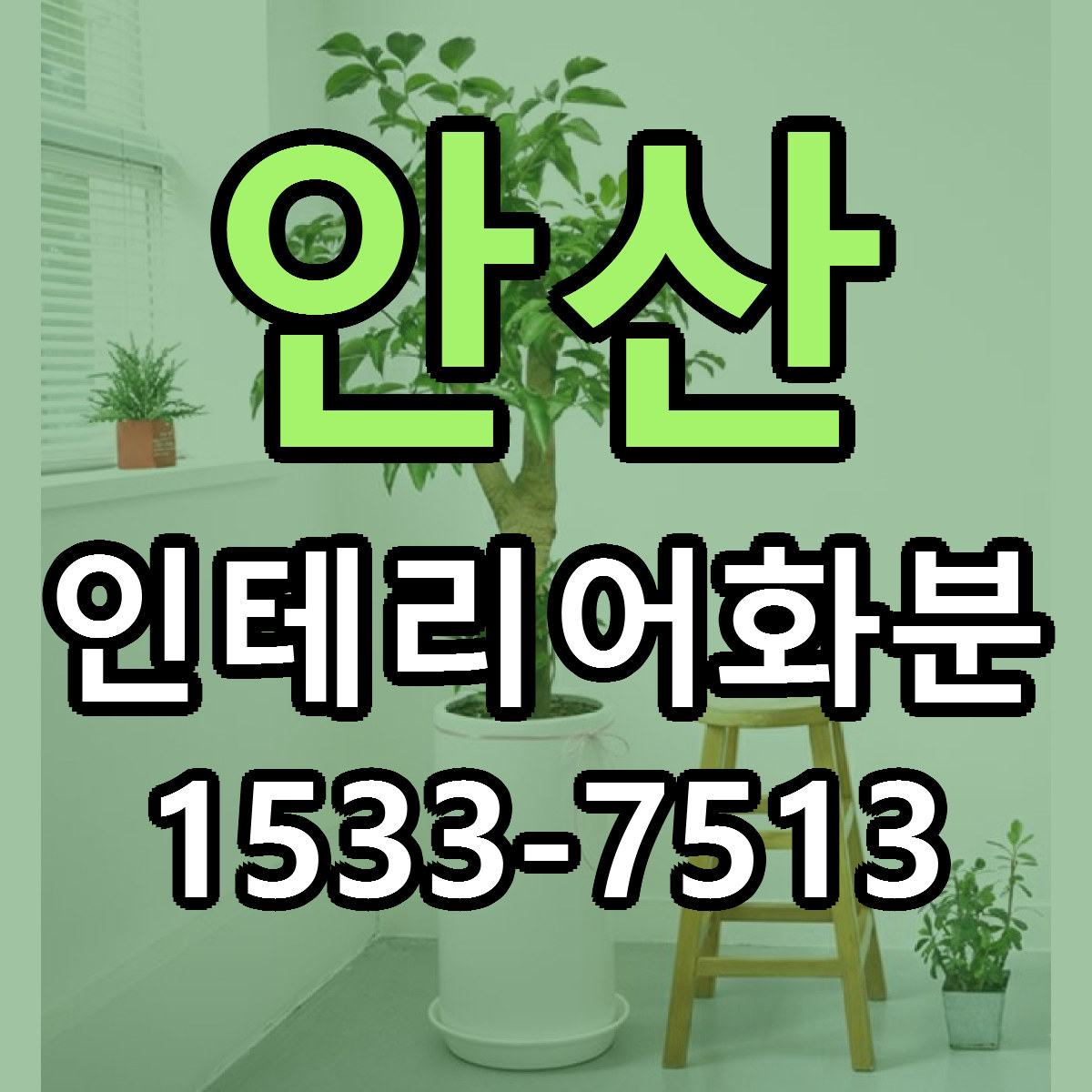 안산 인테리어화분 당일배송 싼곳 리본문구 안내