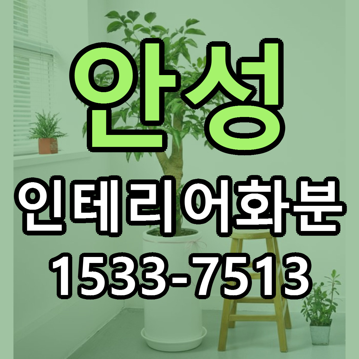 안성 인테리어화분 빠른배송 리본문구 가격 알뜰 비교